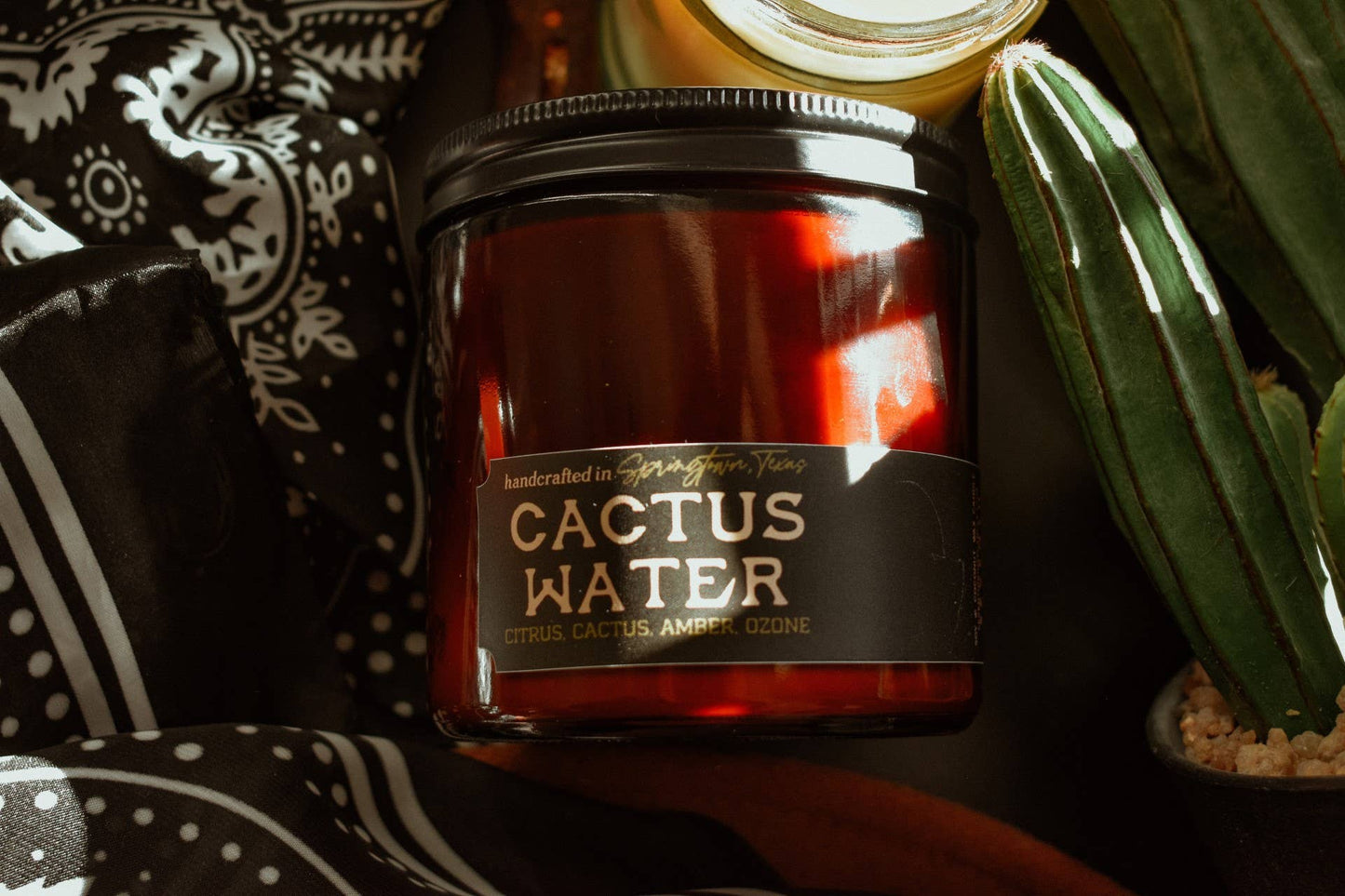 Seventh House Candle - CACTUS WATER - Citrus, Cactus, Amber, Ozone Candle