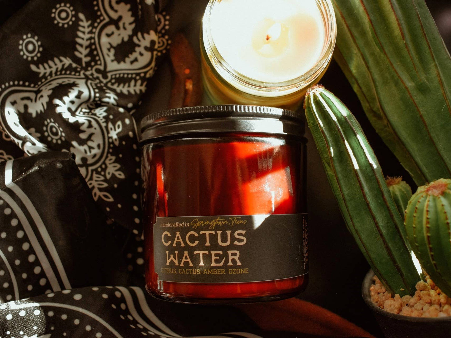 Seventh House Candle - CACTUS WATER - Citrus, Cactus, Amber, Ozone Candle
