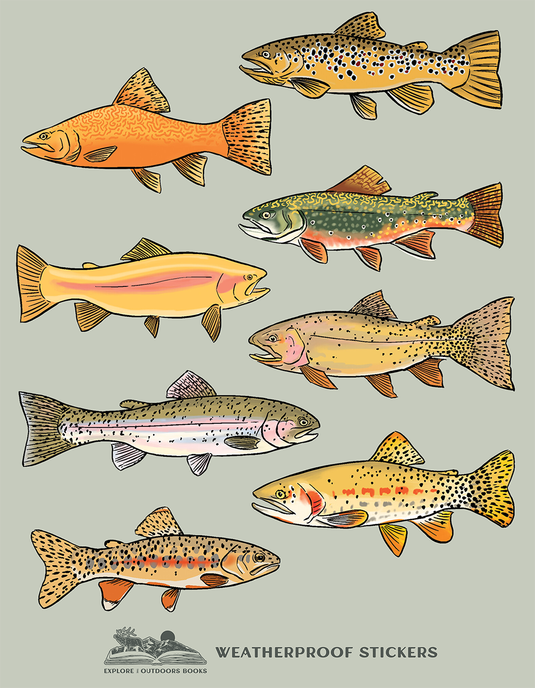 Explore the Outdoors Books - Trout Weatherproof Sticker Sheet