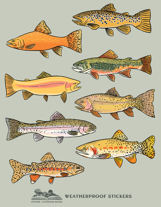 Explore the Outdoors Books - Trout Weatherproof Sticker Sheet