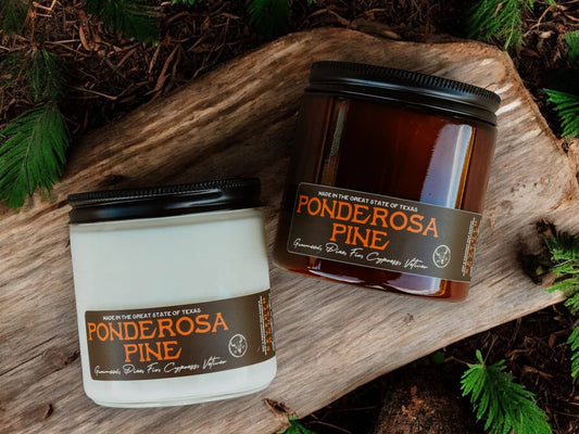Seventh House Candle - PONDEROSA PINE - Guaicwood & Cedar Candle
