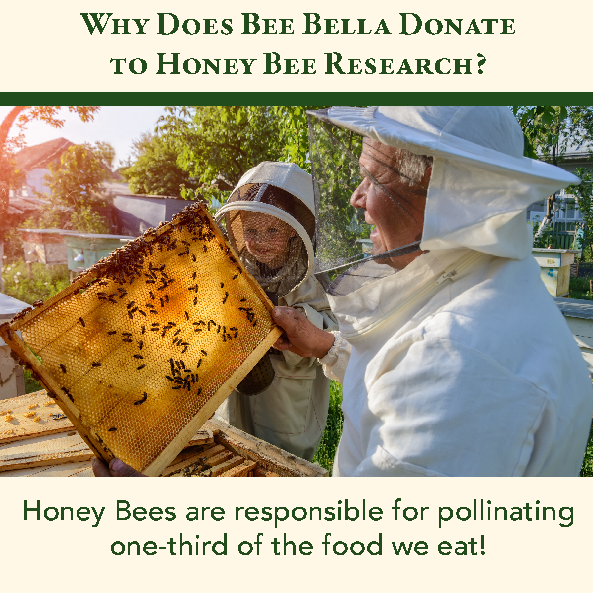 Bee Bella - Peppermint Lip Balm