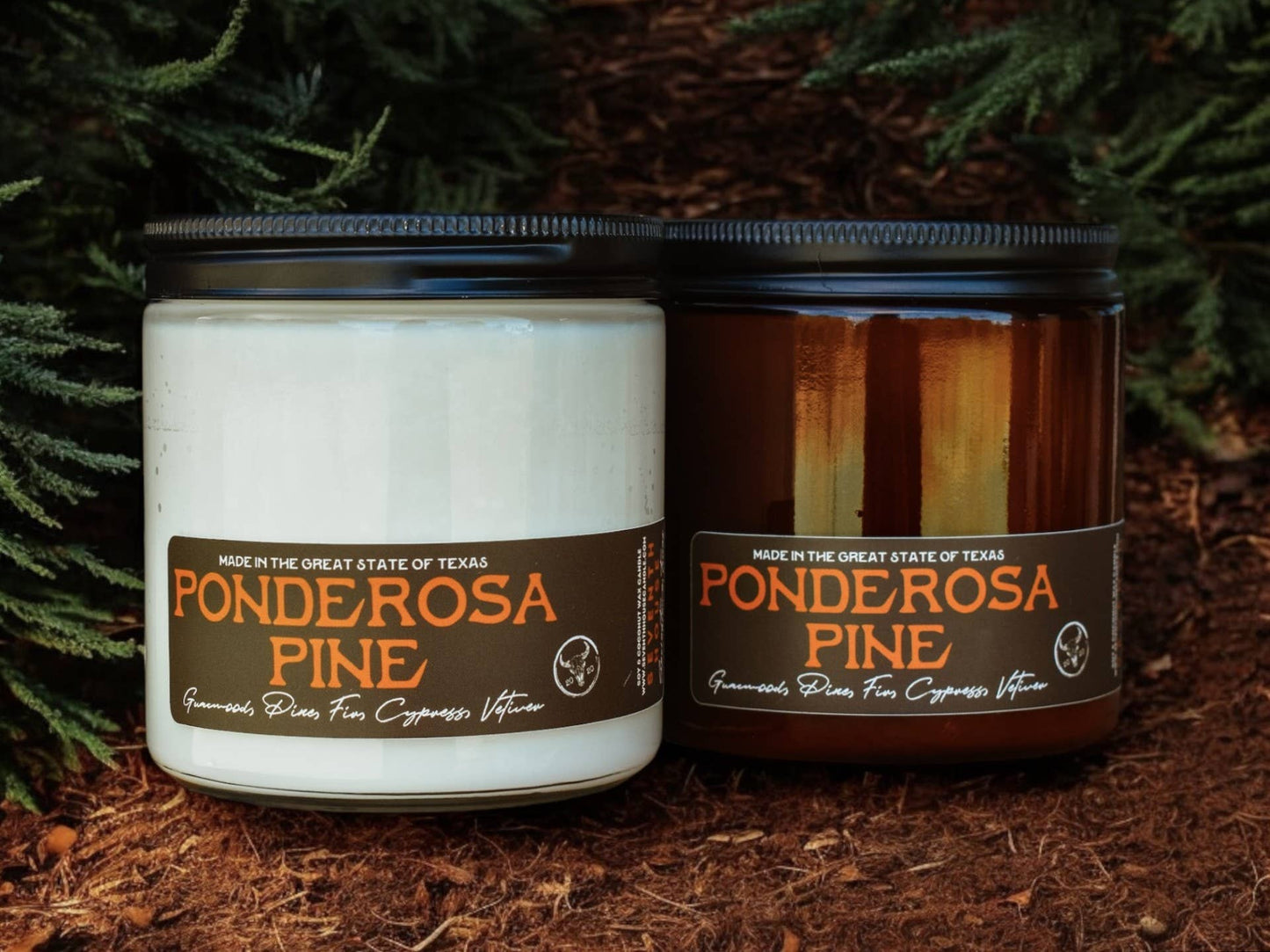 Seventh House Candle - PONDEROSA PINE - Guaicwood & Cedar Candle