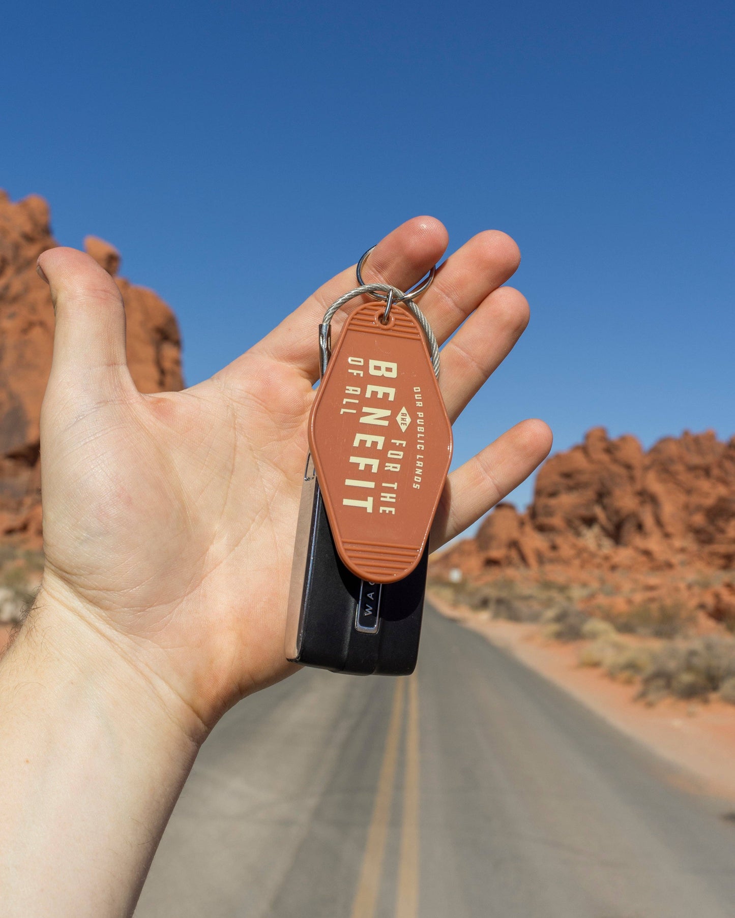 The Landmark Project - Public Lands for All Keychain