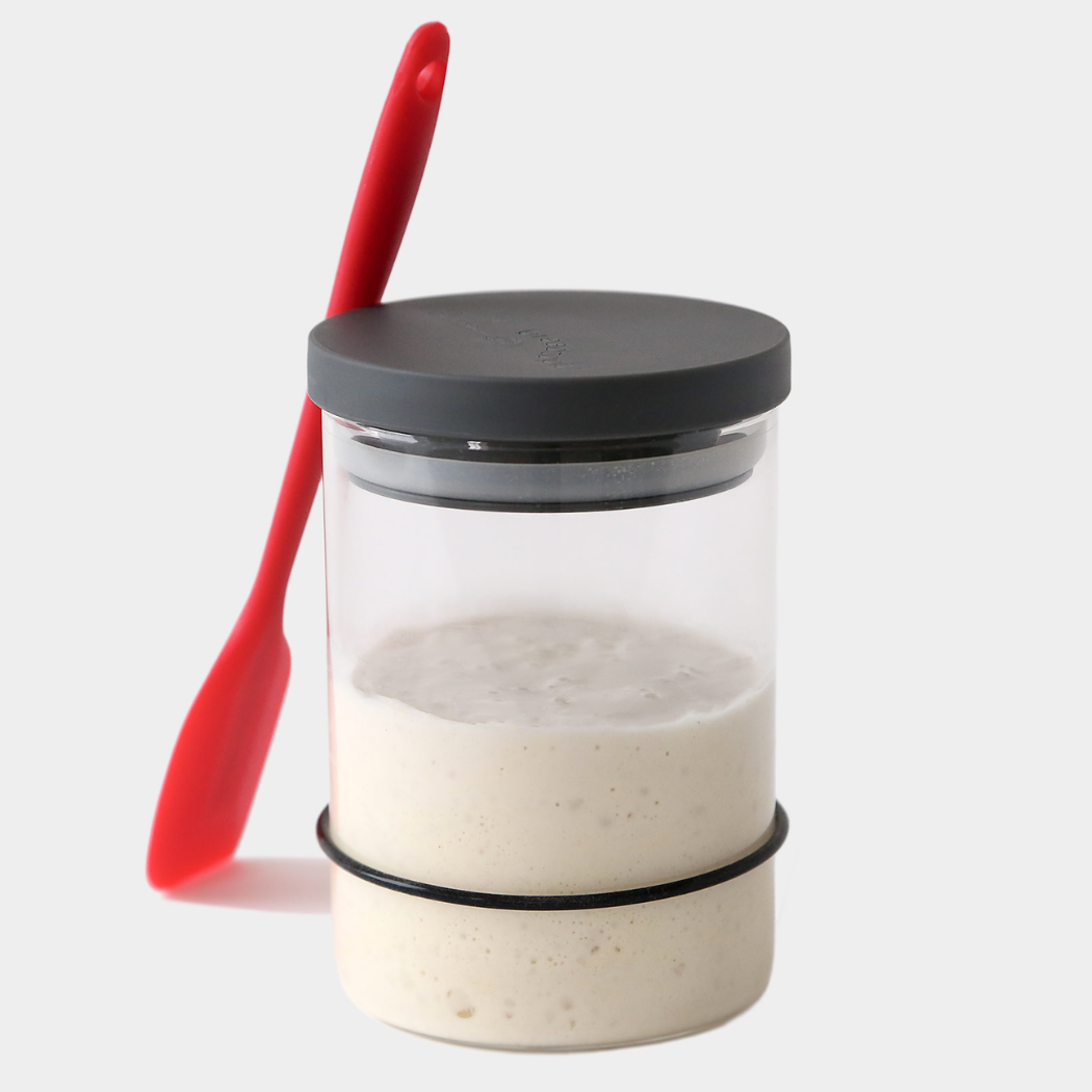 Breadtopia - Breadtopia Sourdough Starter Kit