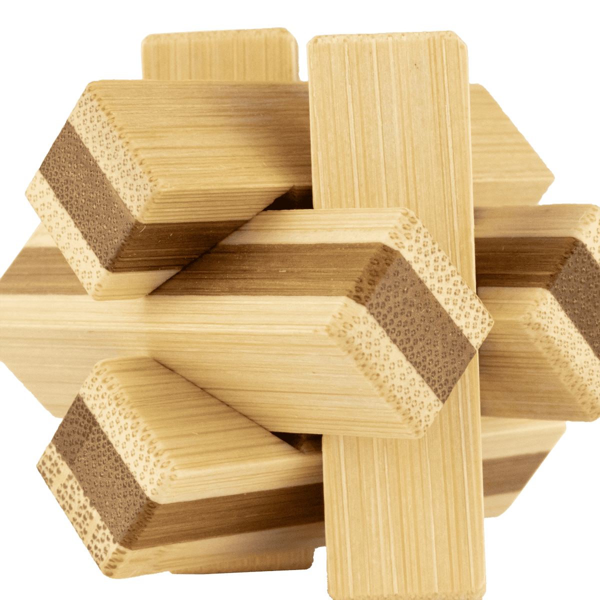 Project Genius - Ecological Jungle Jumble - Mini Bamboo Brainteaser