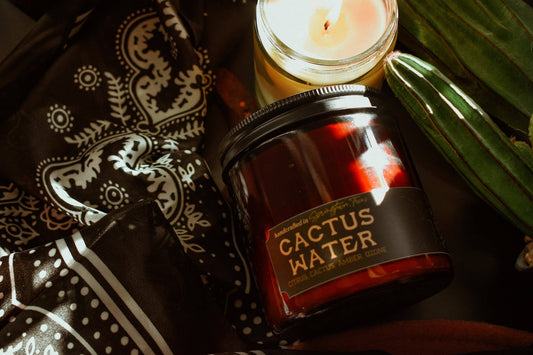 Seventh House Candle - CACTUS WATER - Citrus, Cactus, Amber, Ozone Candle